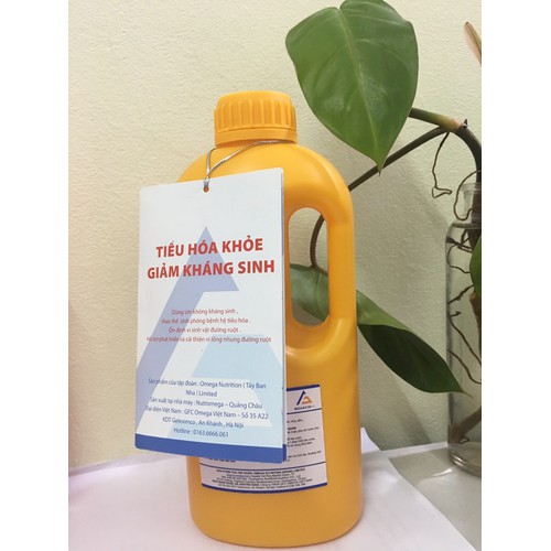 Axit hữu cơ MEGACID - L - sản phẩm tăng sức đề kháng cho vật nuôi