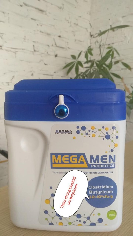 Men Tiêu hóa Chăn Nuôi MEGA MEN