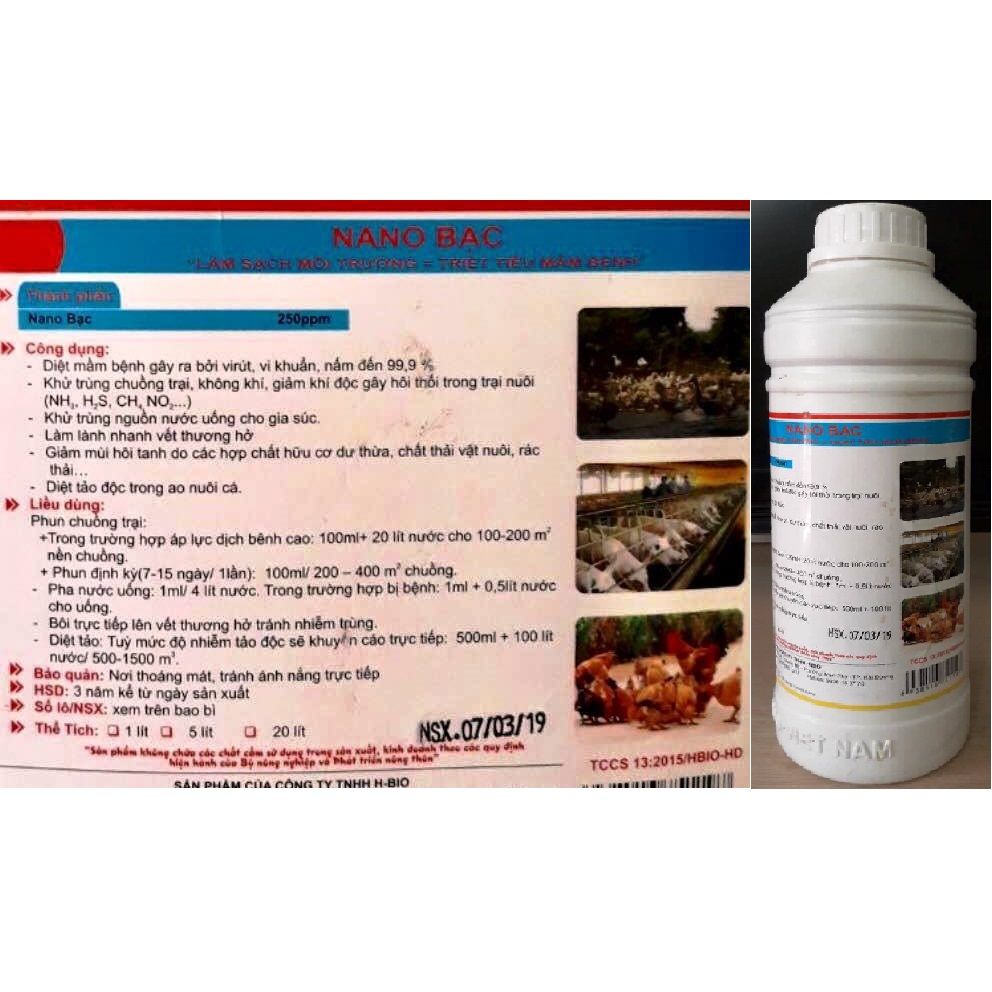 Nano bạc trong Chăn Nuôi