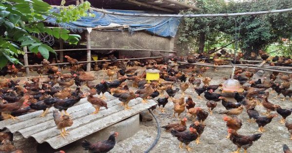 CREATOR: gd-jpeg v1.0 (using IJG JPEG v62), quality = 85