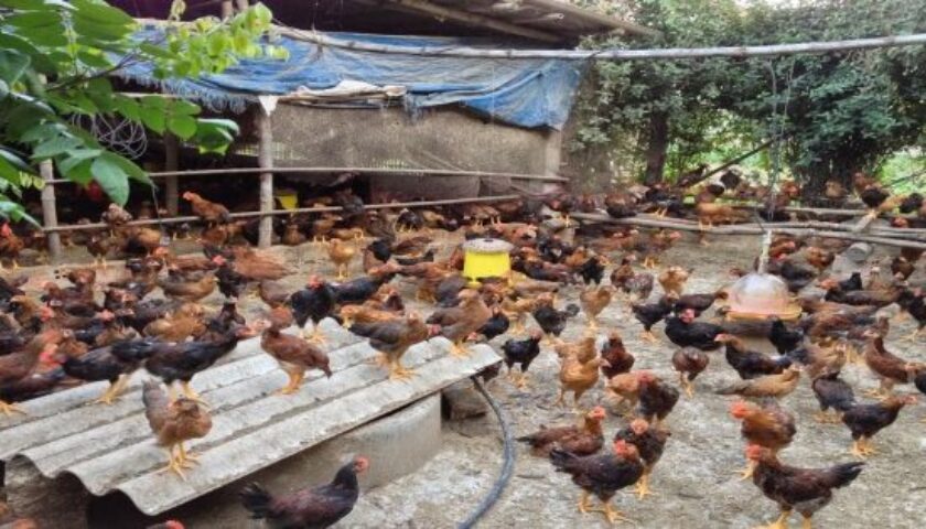 CREATOR: gd-jpeg v1.0 (using IJG JPEG v62), quality = 85